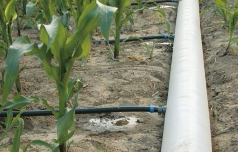 Pnrr e sistemi di irrigazione agricola: alla Calabria il 27% dei fondi nazionali previsti