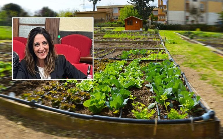 Vibo città sostenibile, Katia Franzè (Coraggio Italia) rilancia l’idea degli “orti sociali”