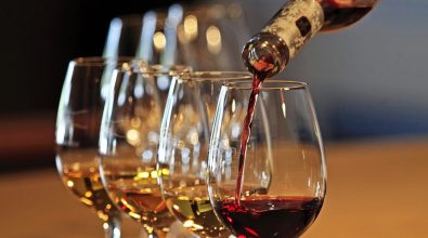 Vino vibonese doc: avviato l’iter per l’ottenimento del marchio