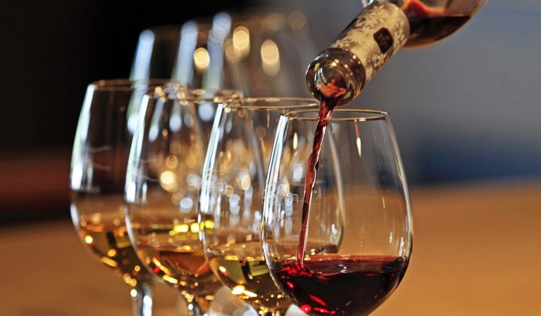 Ecco i vini migliori del Sud Italia, premiate nove cantine calabresi: una è del Vibonese