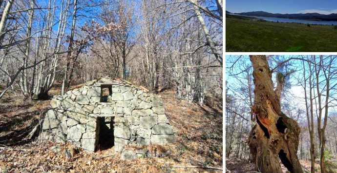 Escursione sul monte Trematerra, viaggio tra castagneti secolari e antichi “pastillari”