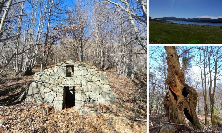 Escursione sul monte Trematerra, viaggio tra castagneti secolari e antichi “pastillari”