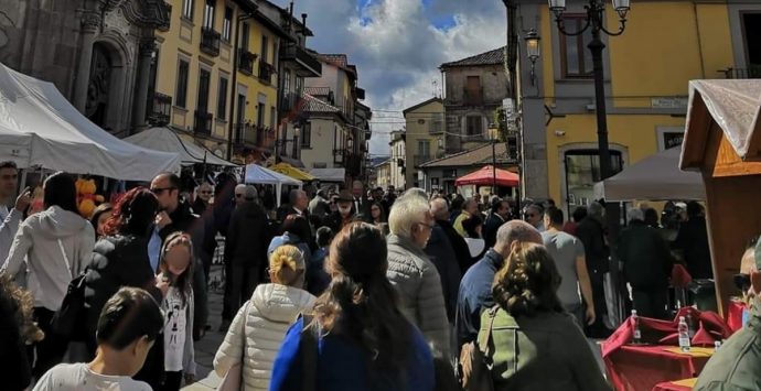 Serra, tutto pronto per la Festa del fungo. I promotori: «Grande sinergia tra enti»