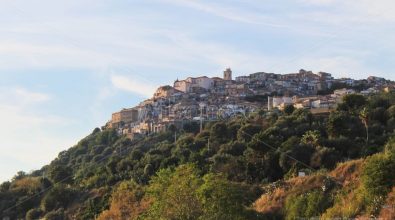 Il vitigno della Dieta Mediterranea, a Nicotera focus sul “Magliocco canino”