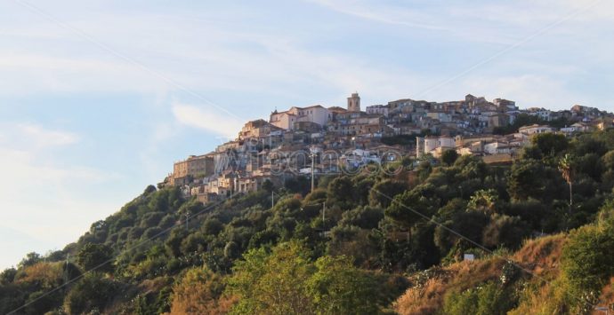 Il vitigno della Dieta Mediterranea, a Nicotera focus sul “Magliocco canino”