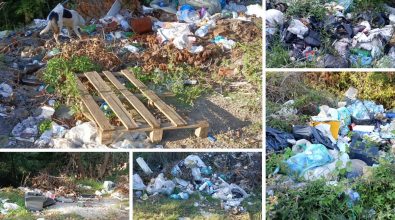 Briatico, montagne di rifiuti lungo la strada Cucco a Potenzoni: foto