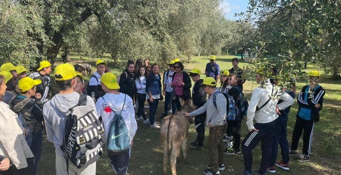 Educazione alimentare nelle scuole: a Limbadi il percorso didattico sull’olio organizzato da Coldiretti