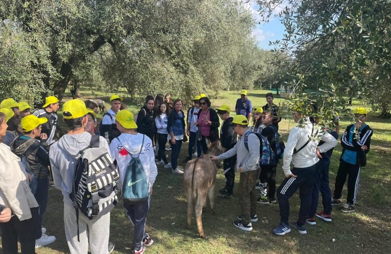 Educazione alimentare nelle scuole: a Limbadi il percorso didattico sull’olio organizzato da Coldiretti