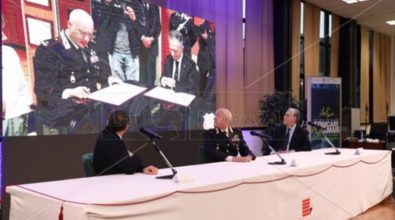 “Educare per Amare”: Diemmecom in campo a difesa del mare calabrese – Video
