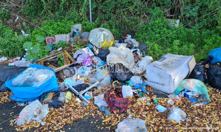 Discarica Vibo-Triparni, il Comune accusa la Provincia che tace. E a rimetterci sono ambiente e decoro