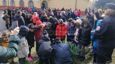 Vibo: gli alunni della scuola Buccarelli celebrano la festa dell’albero