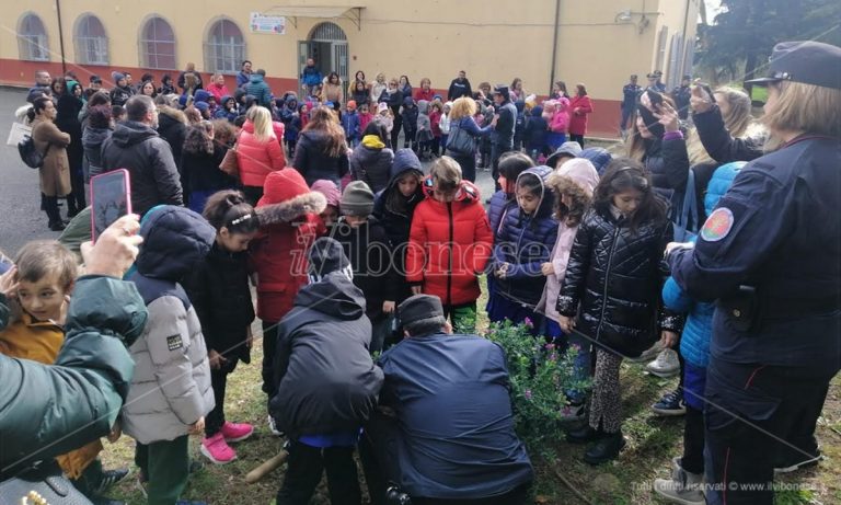 Vibo: gli alunni della scuola Buccarelli celebrano la festa dell’albero