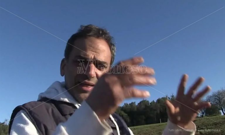 Emergenza cinghiali nel Vibonese: la protesta degli agricoltori di Maierato – Video