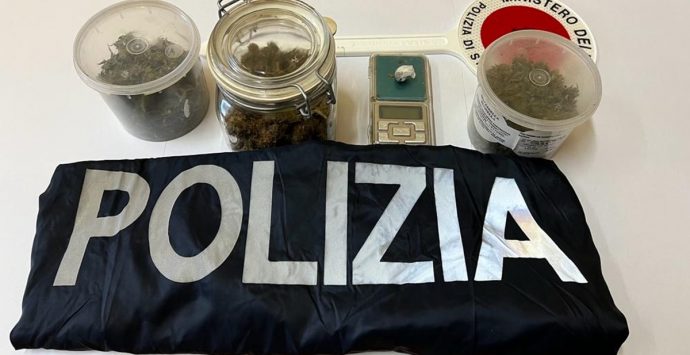 Controlli antidroga nel Vibonese: sequestri, denunce e segnalazioni alla Prefettura