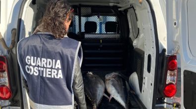 Pesca illegale: dalla Guardia Costiera di Vibo Marina sanzioni e sequestri