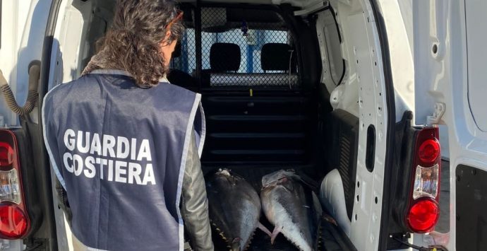 Pesca illegale: dalla Guardia Costiera di Vibo Marina sanzioni e sequestri