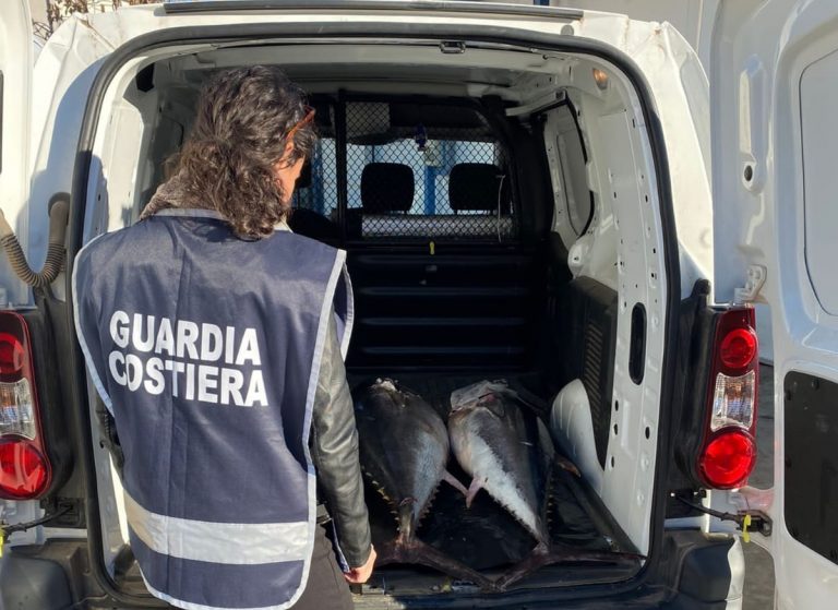 Pesca illegale: dalla Guardia Costiera di Vibo Marina sanzioni e sequestri