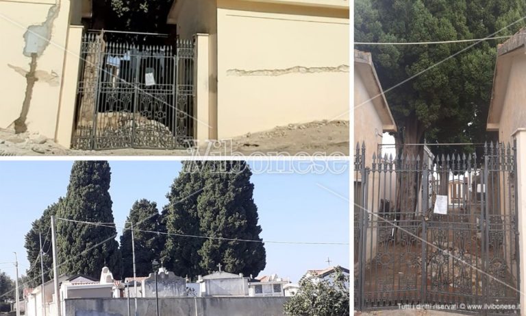 Taglio cipressi a Zaccanopoli, Calzone (Wwf): «Ordinanza illegittima, non sono pericolosi»