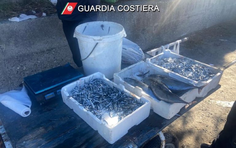 Sequestrati e distrutti cento chili di pesce, operazione coordinata dalla Capitaneria di Porto di Vibo