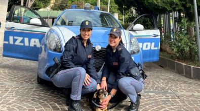 Vibo, due poliziotte adottano un cucciolo investito e abbandonato