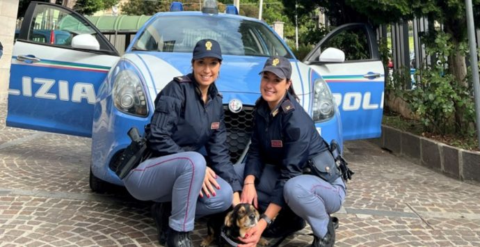 Vibo, due poliziotte adottano un cucciolo investito e abbandonato