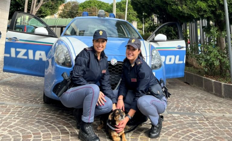 Vibo, due poliziotte adottano un cucciolo investito e abbandonato