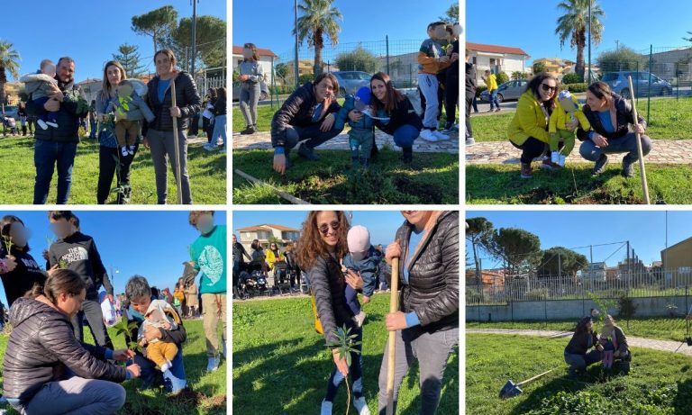 Un albero per ogni nuovo nato, a Briatico l’evento green con gli studenti