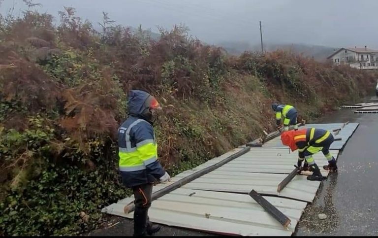 Maltempo nel Vibonese: a Mongiana tetto vola in strada, alberi e lampioni divelti