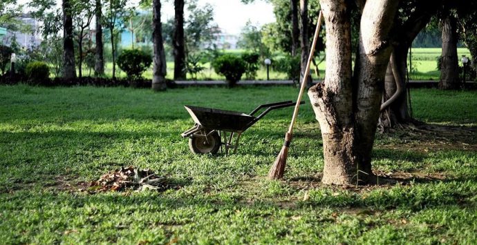 Ricadi, indetta gara d’appalto per la manutenzione delle aree verdi