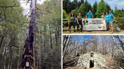 Escursioni, “Vivi Serra” chiude il cerchio 2022: «Così promuoviamo la storia e i nostri boschi»