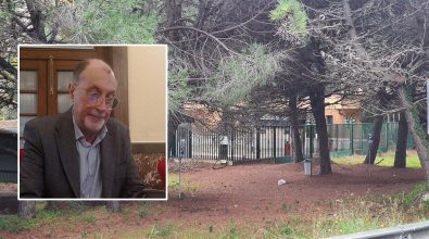 Ex Italcementi di Vibo Marina, Santoro: «Anni fa il sopralluogo con il Comune. Poi nulla più»