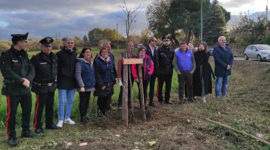 Ionadi, dal Comune il significativo gesto di piantumazione di una quercia