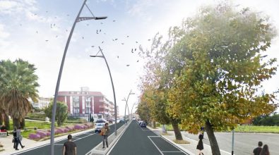 Vibo, il Wwf contro il progetto di via De Gasperi: “Al verde si preferisce il cemento”