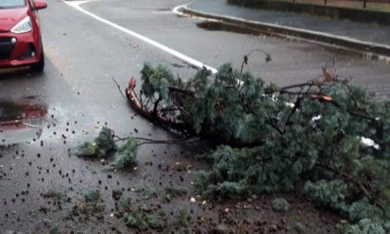 Creano un blocco stradale e rubano un’auto, indagini nel Vibonese