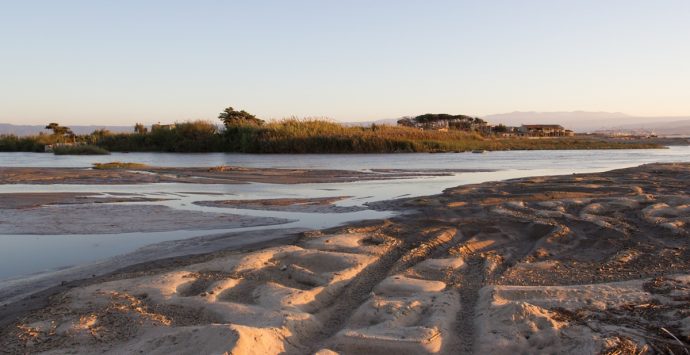 Giornata ecologica organizzata dal Wwf per valorizzare la Riserva Naturale del Mesima