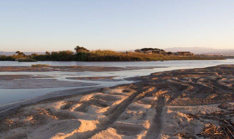 Giornata ecologica organizzata dal Wwf per valorizzare la Riserva Naturale del Mesima