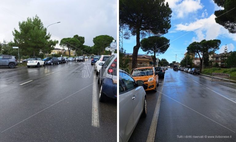 Vibo, i residenti di Palazzo Bruni: «Noi ostaggi delle auto in sosta su viale della Pace» –Foto