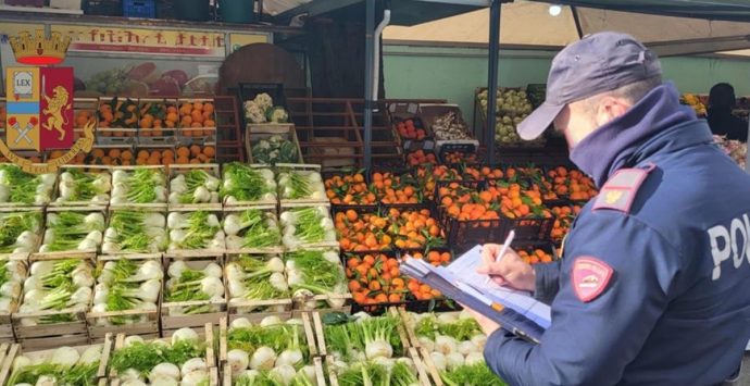 Vibo, nascondeva munizioni tra i banchi della frutta: denunciato e sequestrato il locale