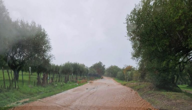 Strade per Zambrone da rifare: tre consiglieri “interrogano” il presidente della Provincia