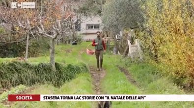 La storia di Vincenzo e Rita: hanno realizzato il loro sogno ad Arena – Video