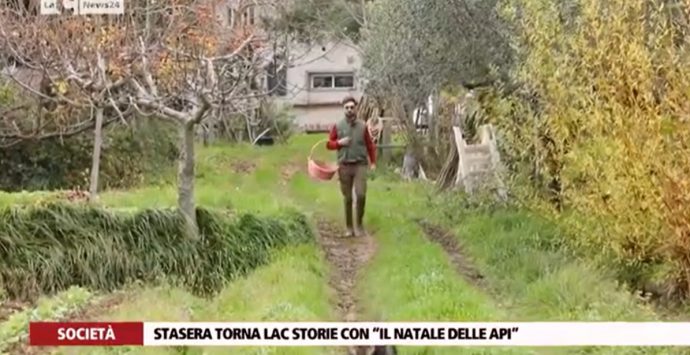 La storia di Vincenzo e Rita: hanno realizzato il loro sogno ad Arena – Video