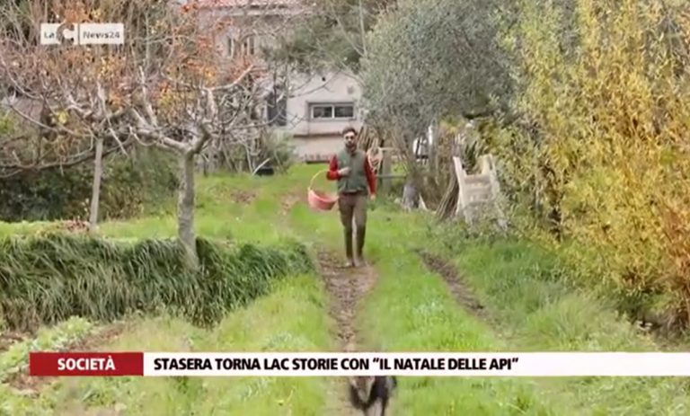 La storia di Vincenzo e Rita: hanno realizzato il loro sogno ad Arena – Video