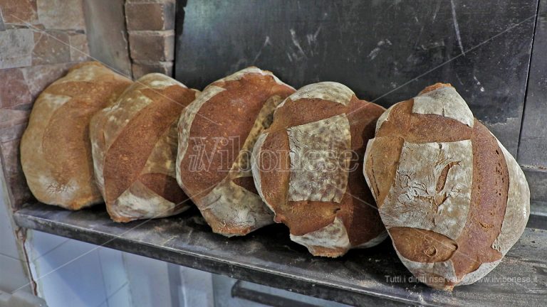 Due fratelli e un’unica passione: a Serra il pane di Bruno e Andrea fatto come una volta