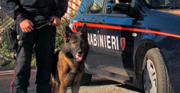 ‘Ndrangheta, arrestato in Germania il latitante calabrese Salvatore Crivello