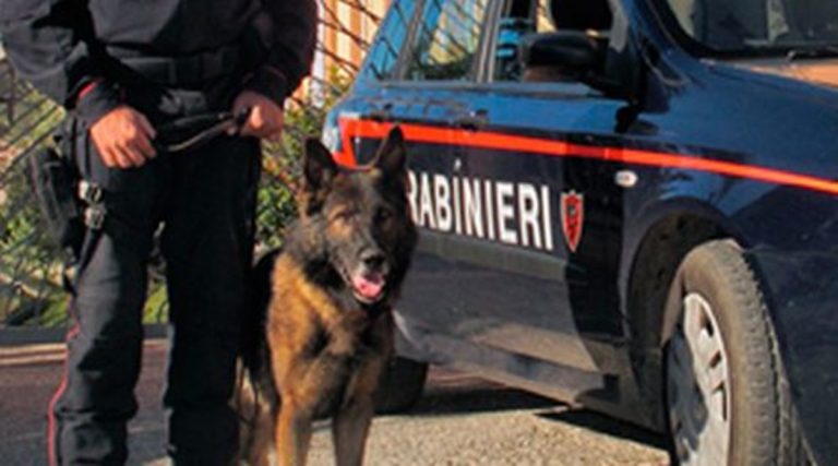 Blitz antidroga in Calabria, 5 arresti. Lo spaccio anche nei pressi di una scuola