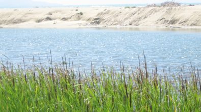 Lavori al fiume Angitola, altolà del Wwf al progetto del Comune di Pizzo: «Attenzione a fauna e flora»