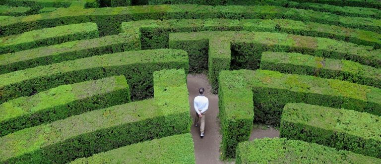 Un labirinto botanico all’interno del Parco Urbano di Vibo: lo vuole il Comune