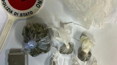 Detenzione di munizioni e droga nel Vibonese: denunce e segnalazioni della polizia