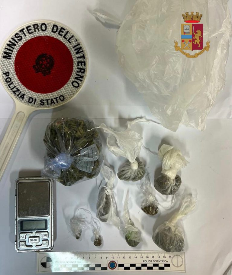Detenzione di munizioni e droga nel Vibonese: denunce e segnalazioni della polizia