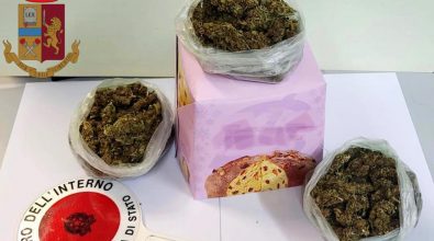 Nascondeva marijuana nel panettone, un arresto a Vibo